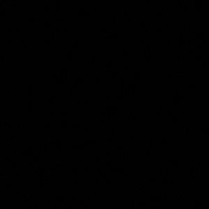 Meet your Posher, Jilly